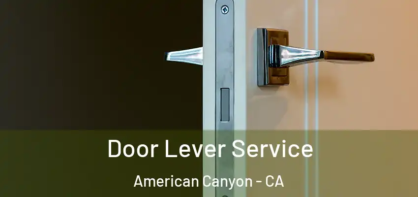  Door Lever Service American Canyon - CA