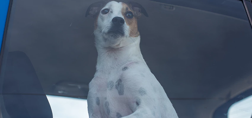 Car Lockout Solutions in American Canyon, California